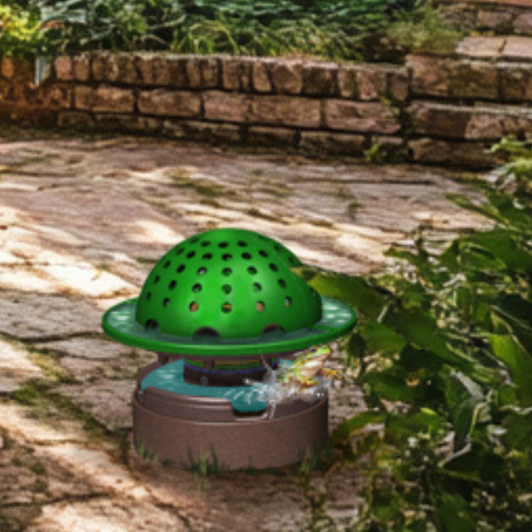 The Frog Fortress: Ground Version