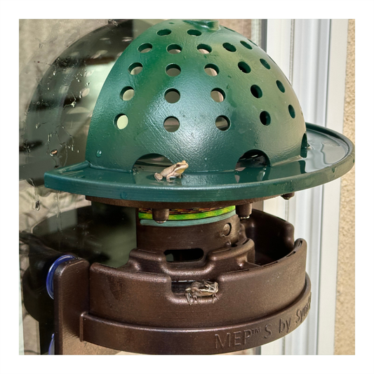 The Essentials Frog Fortress: Window/Wall