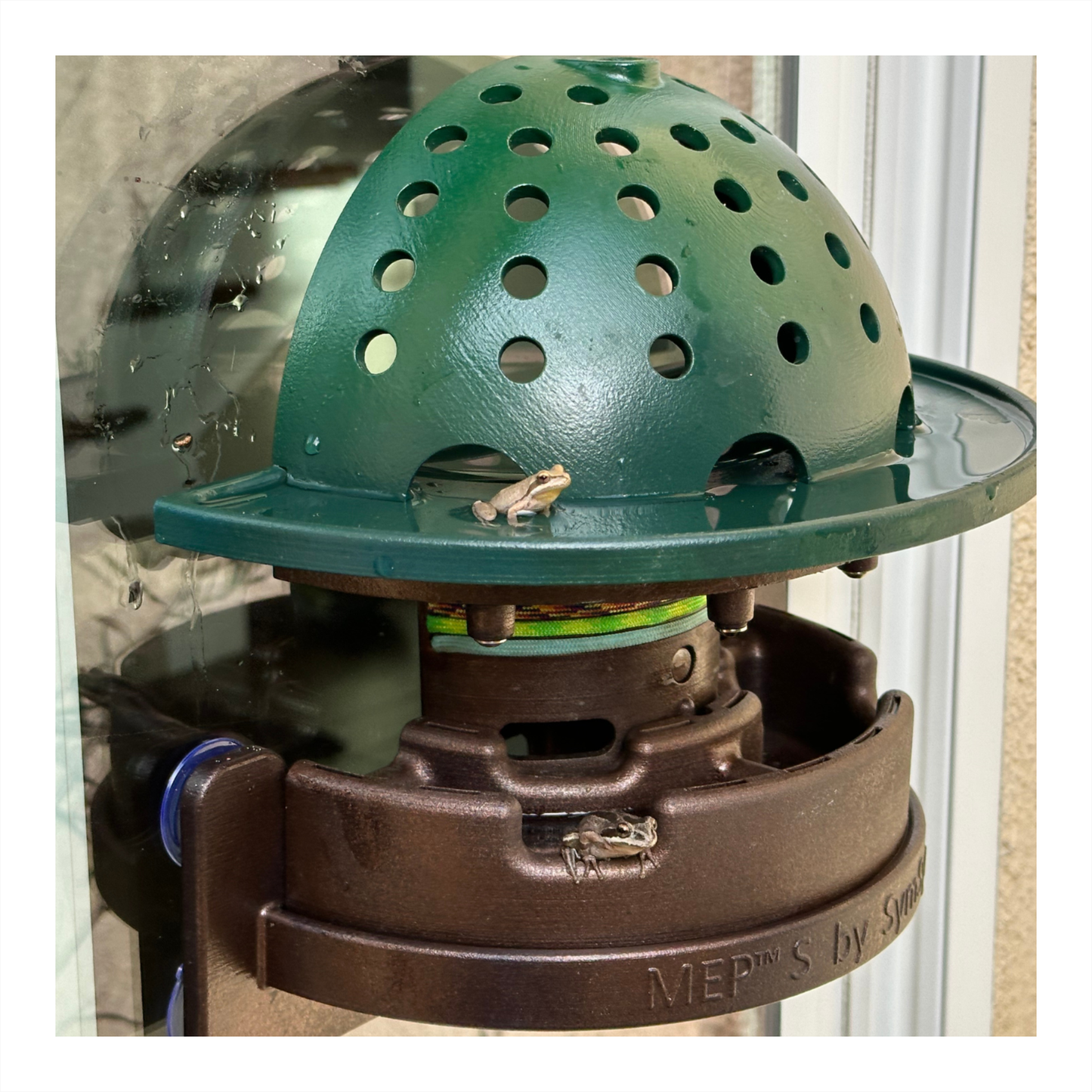 The Frog Fortress: Window-Mounted Version