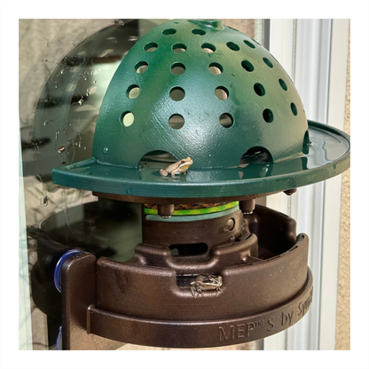 The Frog Fortress: Window-Mounted Version