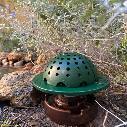 The Frog Fortress: Ground Version