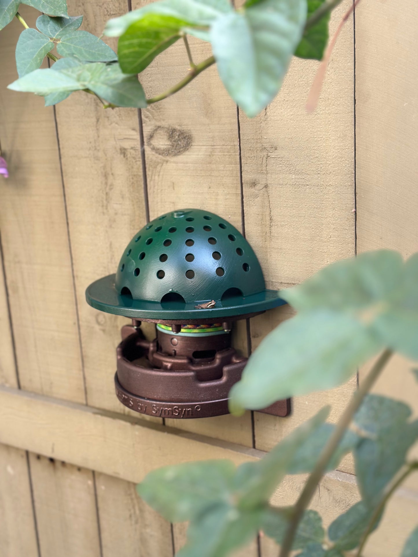 The Frog Fortress: Window/Wall-Mounted Version