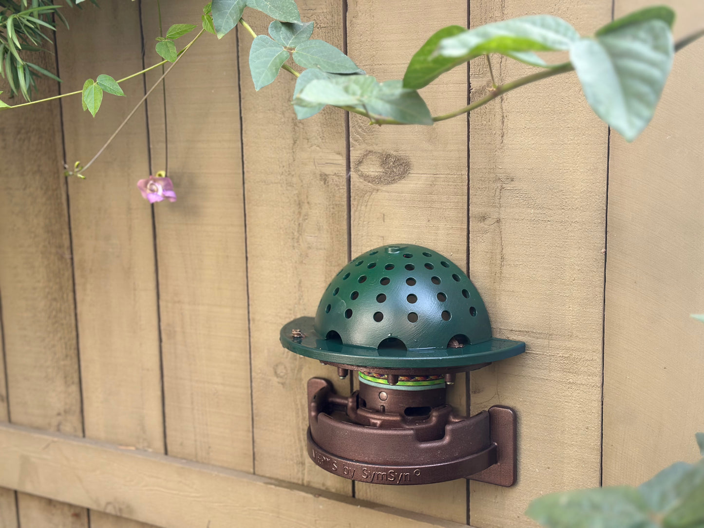 The Frog Fortress: Window/Wall-Mounted Version