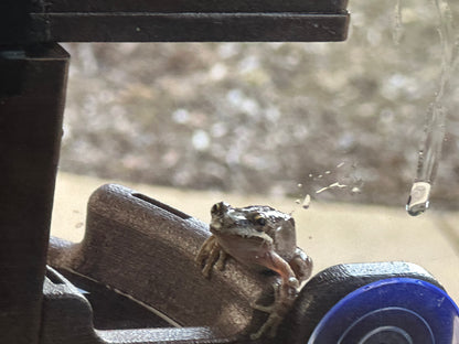 The Frog Fortress: Window/Wall-Mounted Version