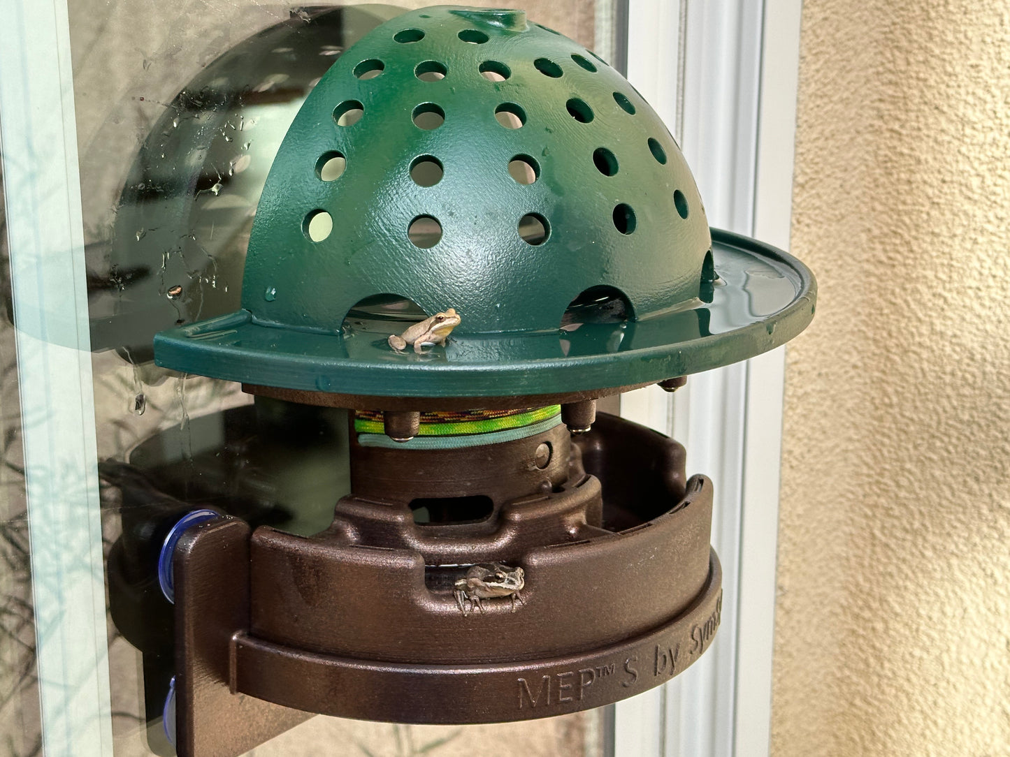 The Frog Fortress: Window/Wall-Mounted Version