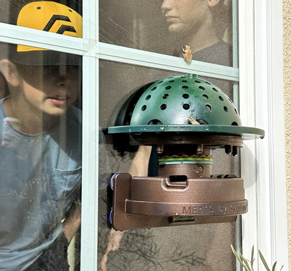 The Essentials Frog Fortress: Window/Wall