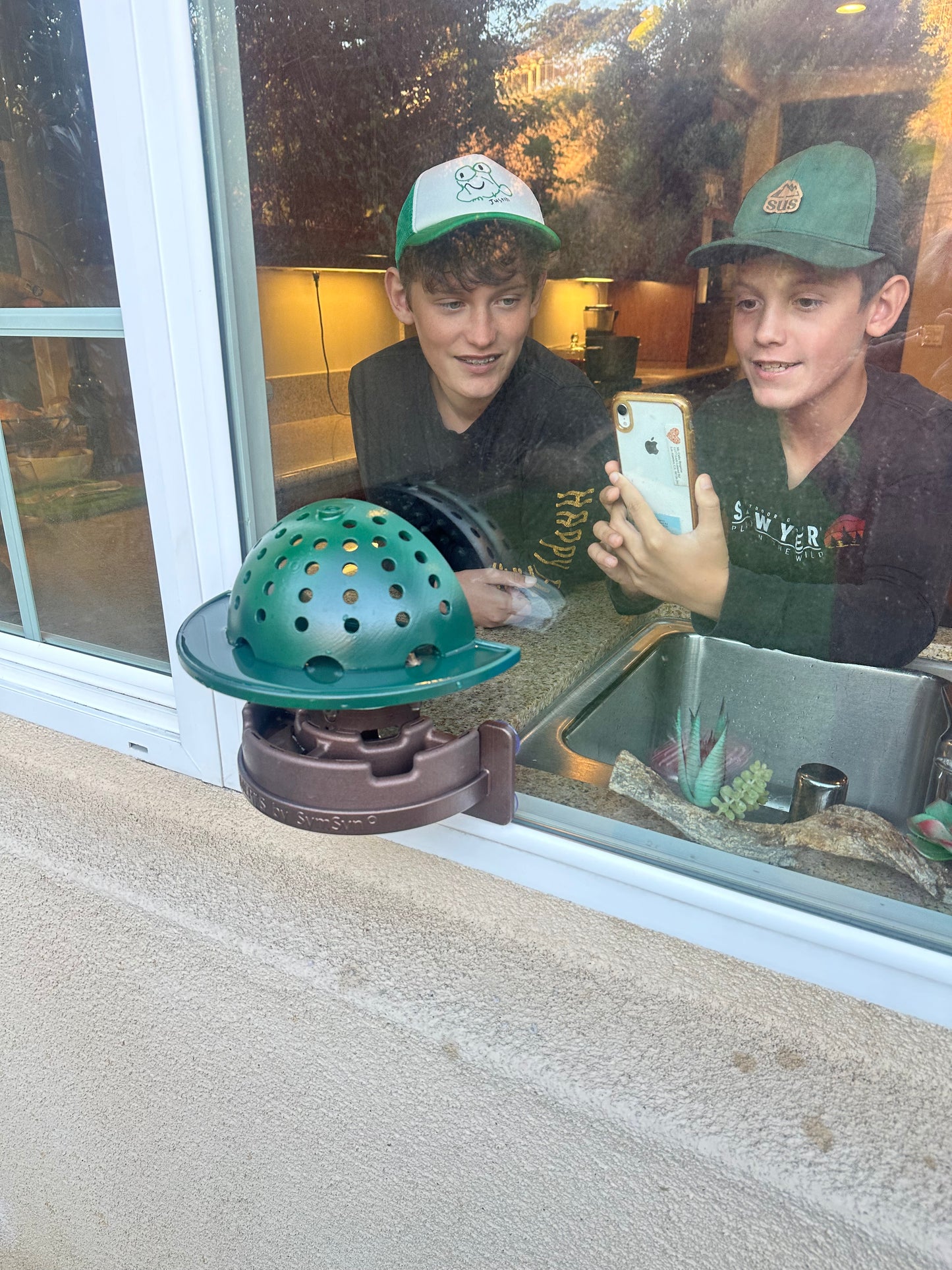 The Essentials Frog Fortress: Window/Wall