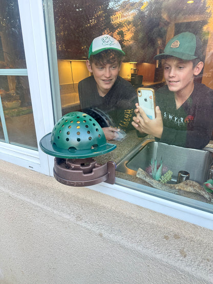 The Essentials Frog Fortress: Window/Wall