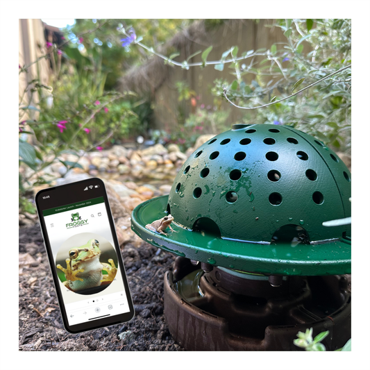 The Smart Tech Frog Fortress: Ground Version