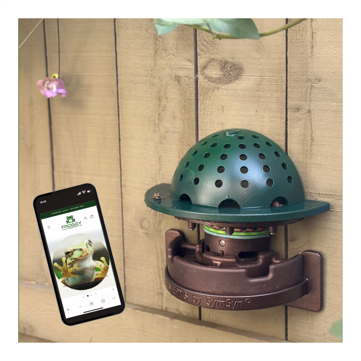 The Smart Tech Frog Fortress: Window/Wall