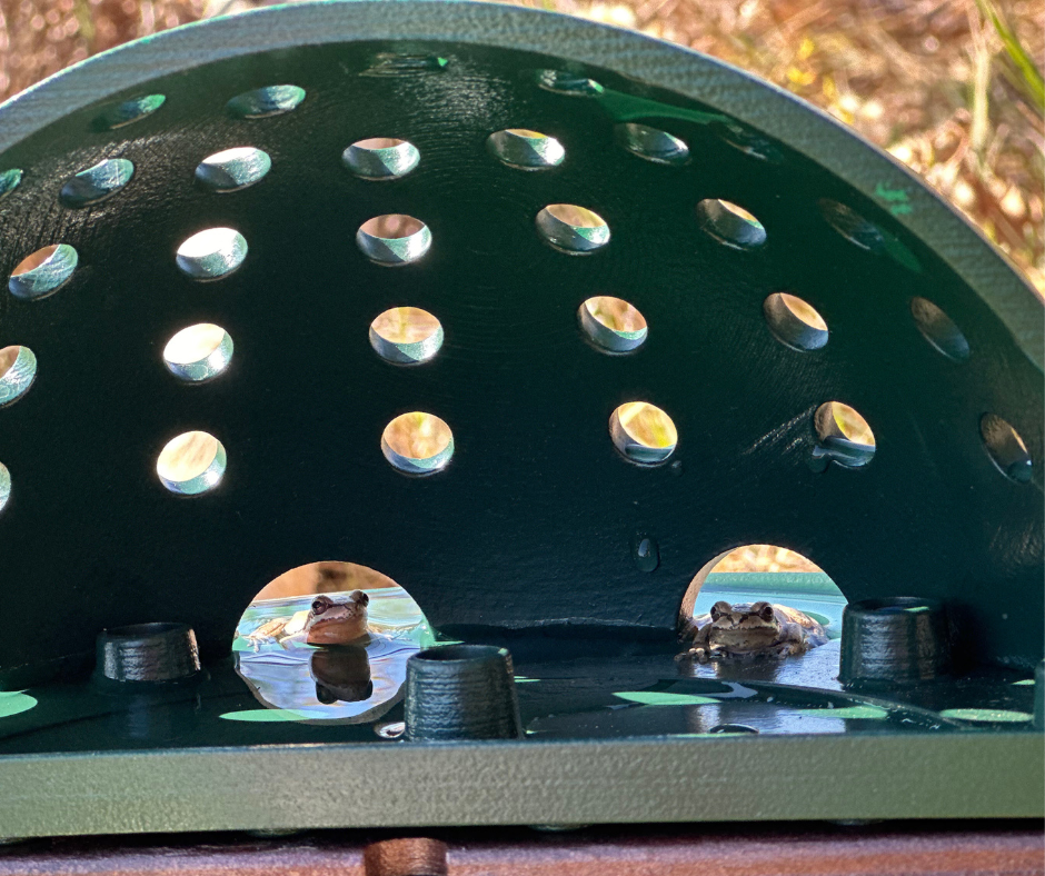 The Frog Fortress: Window/Wall-Mounted Version