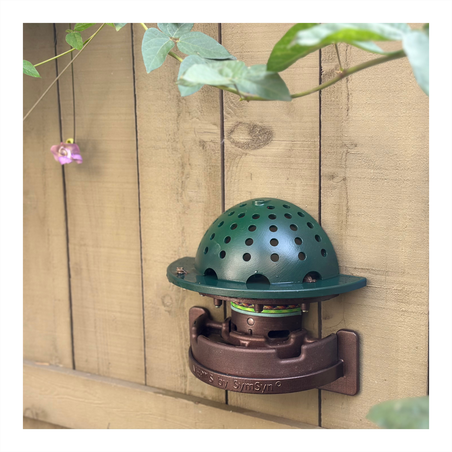 The Essentials Frog Fortress: Window/Wall