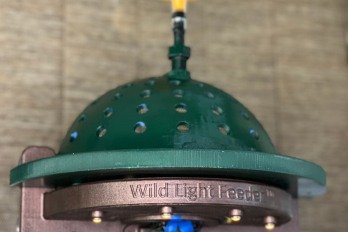 The Essentials Wild Light Feeder