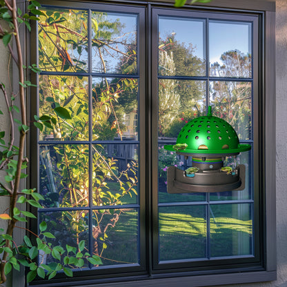 The Frog Fortress: Window/Wall-Mounted Version